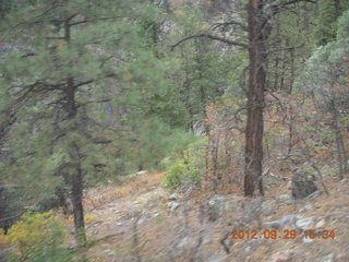 Durango-Silverton Narrow Gauge Railroad