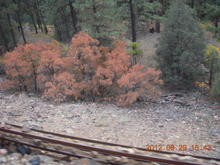 Durango-Silverton Narrow Gauge Railroad