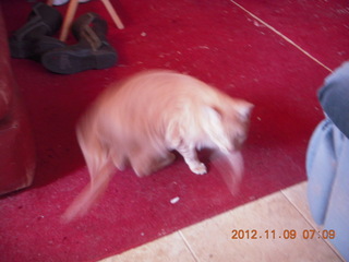 Durango-Silverton Narrow Gauge Railroad