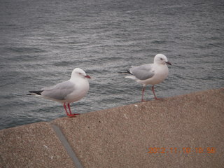 Sydney Harbour