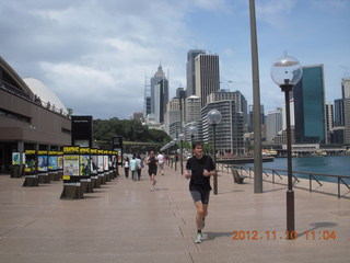 Sydney Harbour - runner