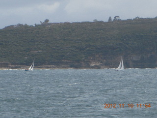 Sydney Harbour - ferry ride - sailboats