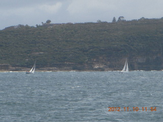 73 83a. Sydney Harbour - ferry ride - sailboats