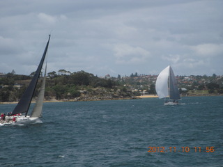 75 83a. Sydney Harbour - ferry ride - sailboats