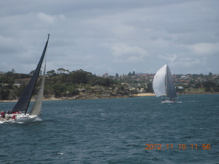 Sydney Harbour - ferry ride - sailboat