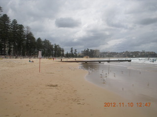 Sydney Harbour - Manly beach