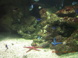 Sydney Harbour - Manly aquarium