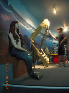Sydney Harbour - Manly aquarium - mermaid