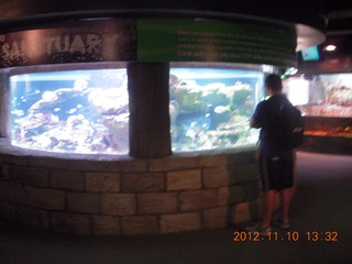 Sydney Harbour - Manly aquarium - Tony S