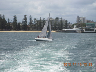 Sydney Harbour - Manly aquarium