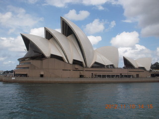 Sydney Harbour - Manly - bird