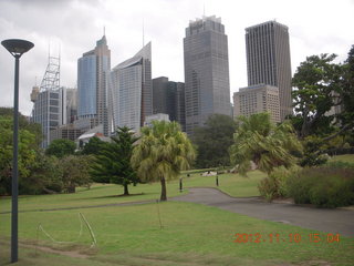 Sydney Harbour gardens