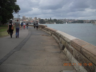 167 83a. Sydney Harbour gardens