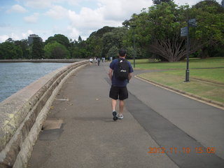 Sydney Harbour gardens - runner