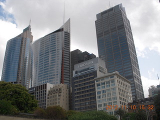 Sydney Harbour gardens skyline