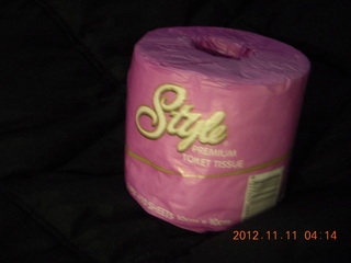 9 83b. Sydney Airport Hotel - toilet paper in 'Style'