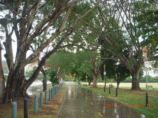 19 83c. Cairns morning run