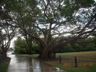 23 83c. Cairns morning run