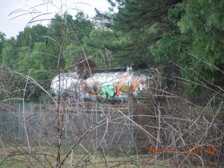 34 83c. Cairns morning run - graffiti on tank