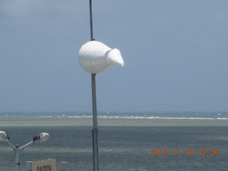 116 83c. Great Barrier Reef tour - windsock on Green Island