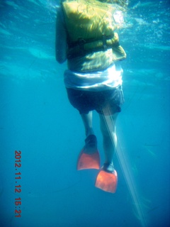 145 83c. (aaphoto) Great Barrier Reef tour - underwater view - snorkler