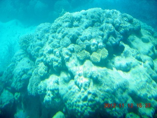 163 83c. (aaphoto) Great Barrier Reef tour - semi-sub