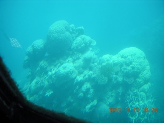 171 83c. (aaphoto) Great Barrier Reef tour - semi-sub