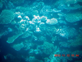 189 83c. (aaphoto) Great Barrier Reef tour - semi-sub