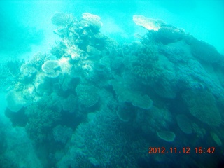 198 83c. (aaphoto) Great Barrier Reef tour - semi-sub