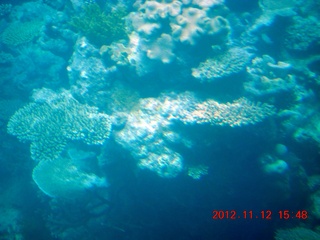 203 83c. (aaphoto) Great Barrier Reef tour - semi-sub