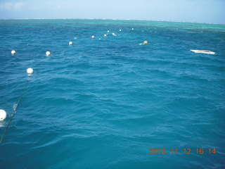 245 83c. Great Barrier Reef tour