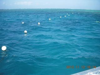 246 83c. Great Barrier Reef tour