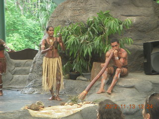 Tjapukai Aboriginal Cultural Park - walking there - birds