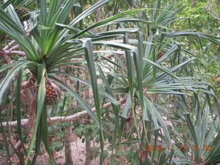 Tjapukai Aboriginal Cultural Park