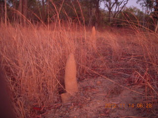 34 83e. total eclipse run - termite mound