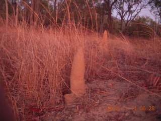 35 83e. total eclipse run - termite mound