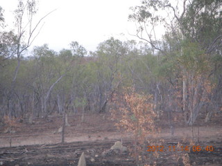 total eclipse run - termite mound