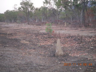 total solar eclipse - termite mound