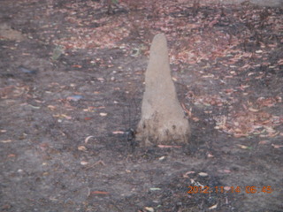 total solar eclipse run - termite mound