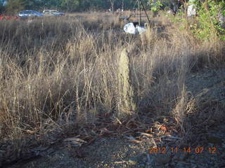 total solar eclipse - termite mound