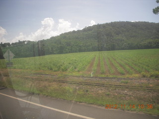 total solar eclipse - drive back to Cairns - coaches