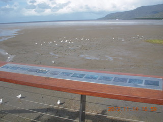 152 83e. Cairns beach - low tide mud