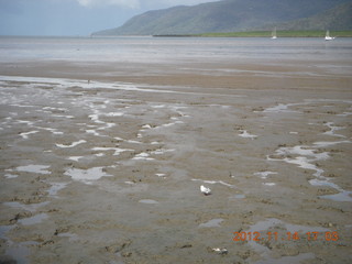 Cairns beach - low tide mud