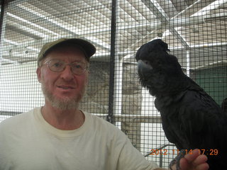 184 83e. Cairns - ZOOm at casino - black cockatoo - Adam