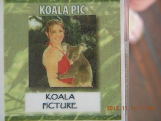 Cairns - ZOOm at casino - koala picture pass