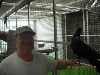 Cairns - ZOOm at casino - black cockatoo - Adam