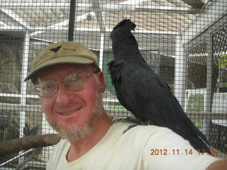 Cairns - ZOOm at casino - Adam and black cockatoo