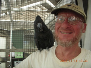 Cairns - ZOOm at casino - black cockatoo and Adam