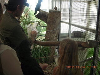 Cairns - ZOOm at casino - bird