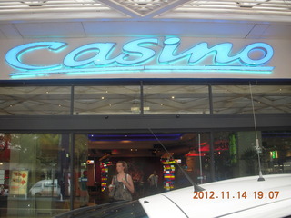 Cairns - ZOOm at casino - kangaroo-like rodent